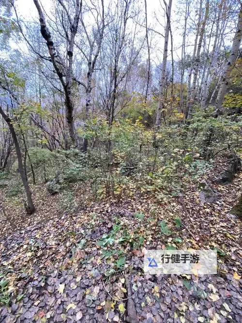 天下长安如何双开 2021最新双开神器来袭图1