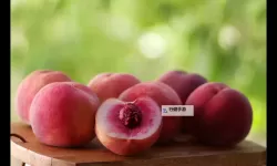 香蕉桶镇那个桃子里藏着怎样的秘密？