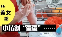 如何在线观看高品质曰批免费视频：完整指南与注意事项