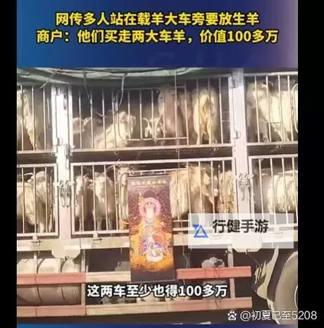 中年男女站在载羊货车旁要求放生 引发动物保护热议图1