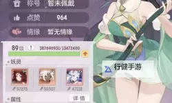 完美幻想怎么双开  完美幻想双开挂机软件推荐