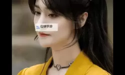 郑爽唱的歌：那些动人心弦的经典曲目