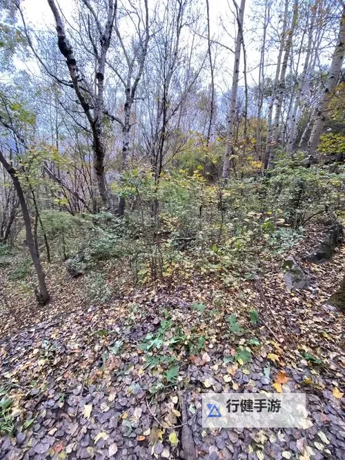 《饥荒》哈姆雷特巨蛇BOSS走位打法攻略 巨蛇BOSS怎么打图1