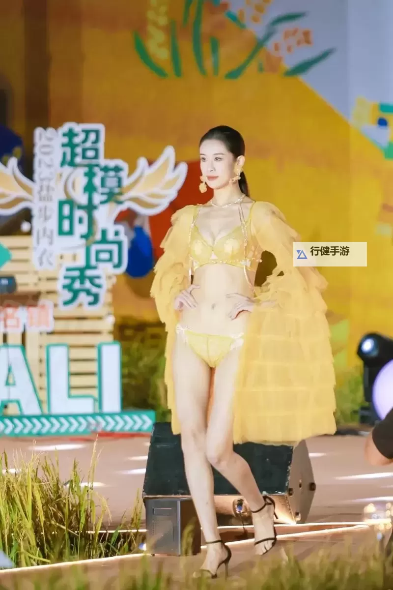 2024中国内衣秀精彩纷呈,展现时尚与品质的完美融合图1