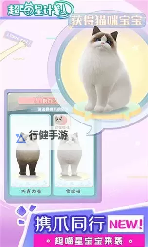 超喵星计划电脑版下载 推荐好用的超喵星计划电脑版模拟器下载图1