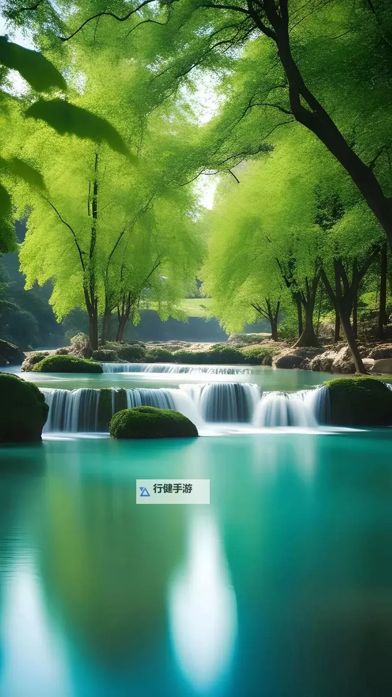 影视森林在线免费观看：畅享高清免费电影与剧集的最佳平台图2