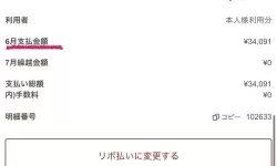 日本免费三色电费2000年多少：历史回顾与解析