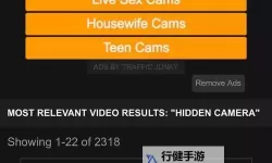 91pornChinese：探索中国网络成人内容的新潮流