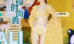 2024中国内衣秀精彩纷呈，展现时尚与品质的完美融合