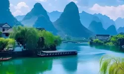 影视森林在线免费观看：畅享高清免费电影与剧集的最佳平台