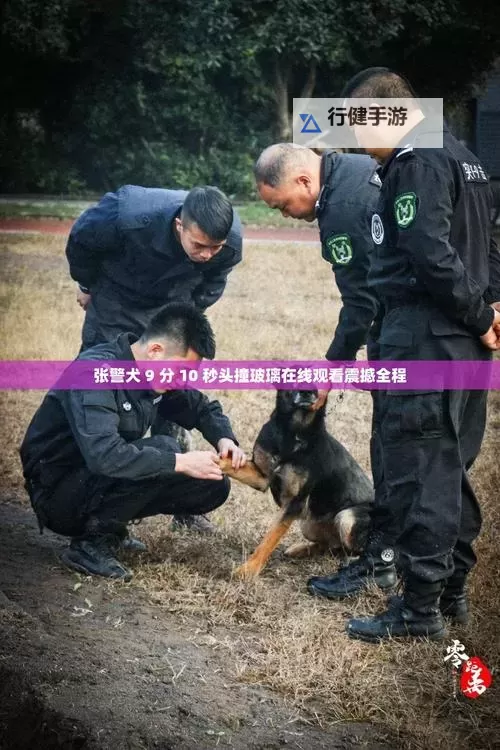 追击真相：张警官9分10秒破案奇迹图1