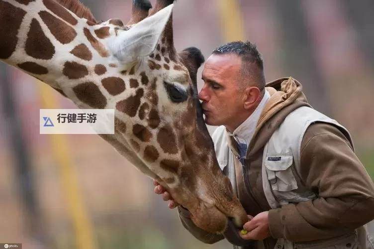 探索异国之美：外国人与动物的共性视频展现人性与自然的共鸣图1