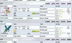 《宝可梦剑盾》棉花巨魔双轴队双打队伍配置