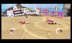 《原神》荒泷极意堂堂斗虫大试合全关卡满奖励攻略 3.4斗虫大赛攻略