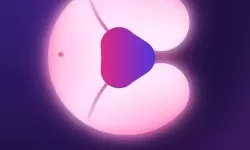 成人短视频网页版：免费观看高清内容的最佳平台推荐