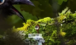 《蚂蚁文托》图文流程攻略