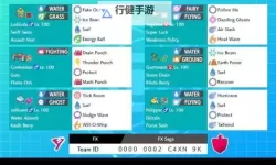 《宝可梦剑盾》S3双打月布空间队分享