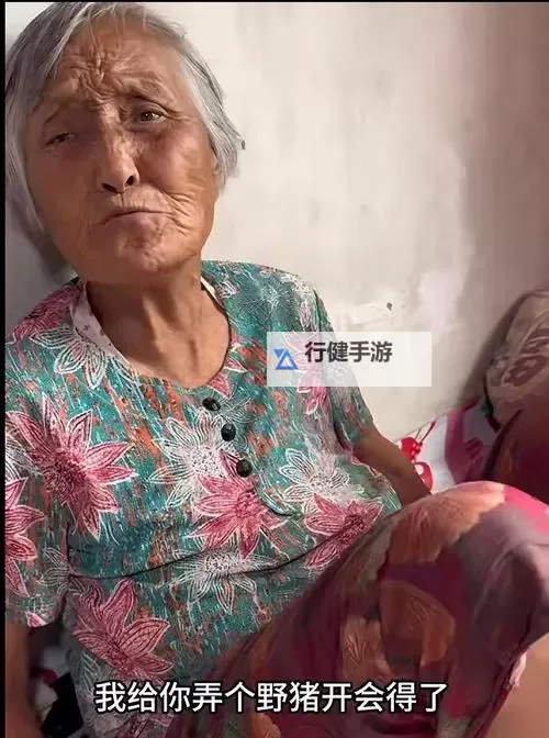 中国老太婆grdnnr：平凡中的坚韧与温情图1
