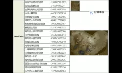 《塞尔达传说王国之泪》魔犹伊的遗失物用法介绍 魔犹伊的遗失物有什么用