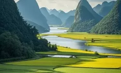 揭秘白天天天天天天天干2017：年度关键词全解读