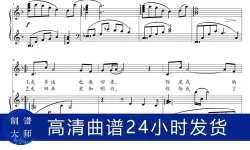 打造高品质音乐体验：探索中国伴奏网的精彩世界