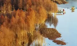 大大争霸双开软件推荐 全程免费福利来袭