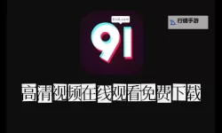 91chinesevideo永久地址：高清资源无限畅享指南