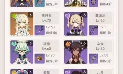 《原神》优菈+雷神阵容配置攻略