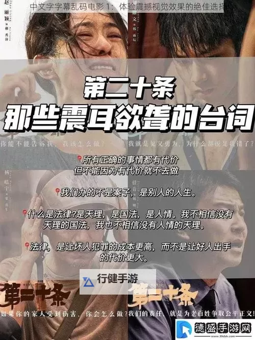 解析中文字字幕乱码的原因与解决方案:以电影1为例图2