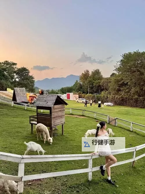 探索最新美国ZOOM动物农场:虚拟农业新体验图1