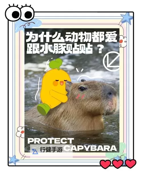 《无敌水豚》背景故事介绍及玩法解析 无敌水豚好玩吗图1