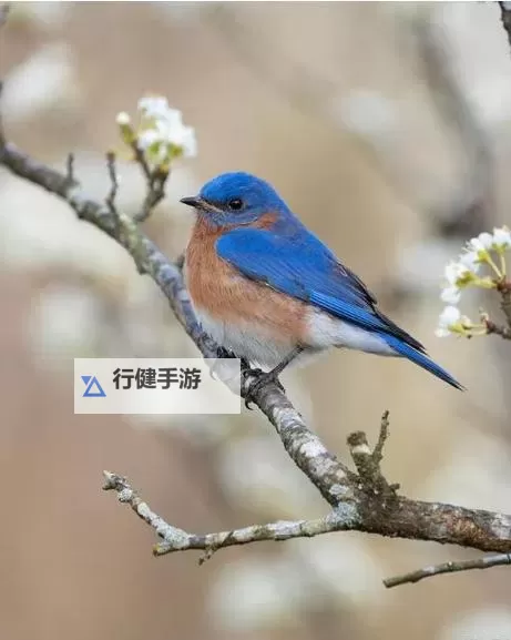 《崩坏星穹铁道》幽囚狱-2层宝箱位置一览图1