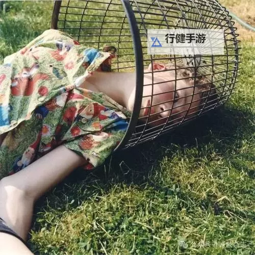 探索最新的Chinese XXX videos:内容与趋势解析图1