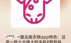 免费无遮挡一键去衣：轻松打造完美虚拟换装体验