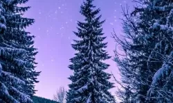 《暗黑破坏神4》技能伤害计算指南 技能伤害怎么算