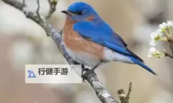 《崩坏星穹铁道》幽囚狱-2层宝箱位置一览