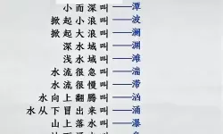 语文课代表的水真多：课堂中的趣味瞬间与背后故事