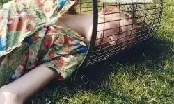 探索最新的Chinese XXX videos：内容与趋势解析