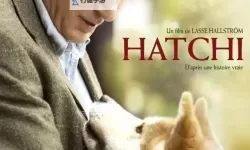 感人再现：忠犬八公的故事百度影音免费在线观看