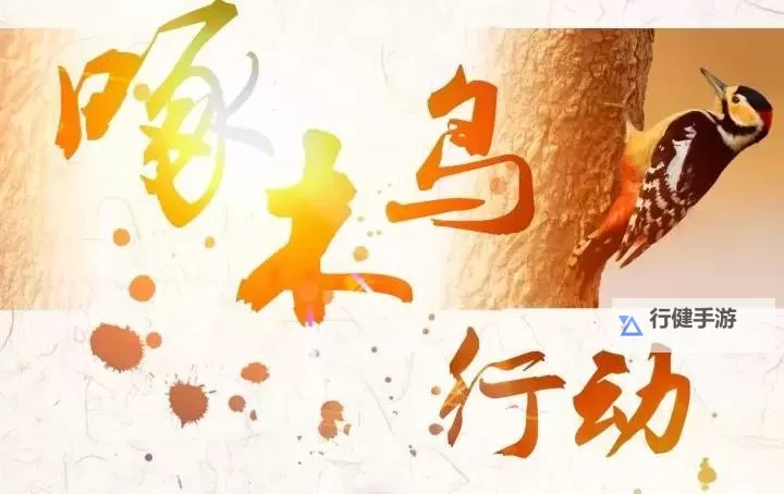 守护森林生态平衡——啄木鸟行动全面展开图1