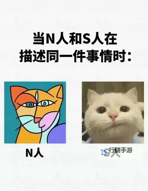 人曾交互sedan与cedan的区别：详解两者差异与常见误区图1