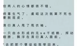 【最新连载】虞昭叶从心全文免费阅读 全篇完整版在线阅读推荐