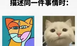 人曾交互sedan与cedan的区别：详解两者差异与常见误区