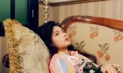 仙踪林company免费体验活动全面开启，精彩不停！