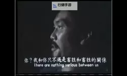 探索中国一级毛片的精彩世界：了解中国一级毛片的魅力与发展