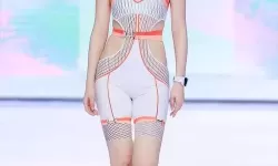 中国情趣内衣时装秀：点燃春日激情的时尚盛宴