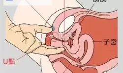 《艾尔登法环》各种强力法术盘点