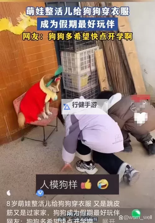 在破房子里和狗做:荒废之地的秘密时光图1