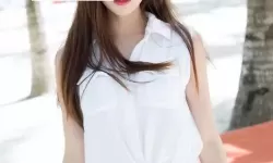 探索2024年最新sis地址攻略与推荐