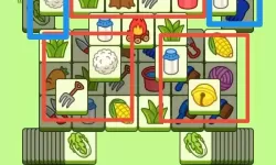 《羊了个羊》羊羊大世界2月17日通关攻略